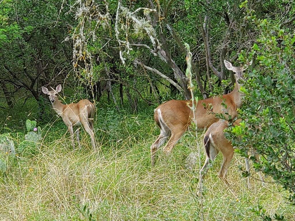 Mud Creek Park | 16875 Jones Maltsberger Rd, San Antonio, TX 78232, USA | Phone: (201) 207-7275