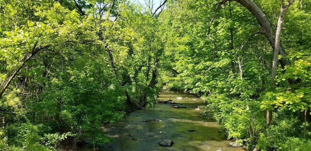 McClaughry Springs Woods (Cook County Forest Preserve) | Palos Park, IL 60464, USA