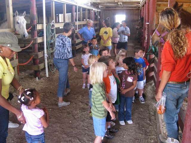 Happy Hooves Pony Parties and Petting Farm | 1455 Martin Rd, Rockledge, FL 32955, USA | Phone: (321) 482-4033