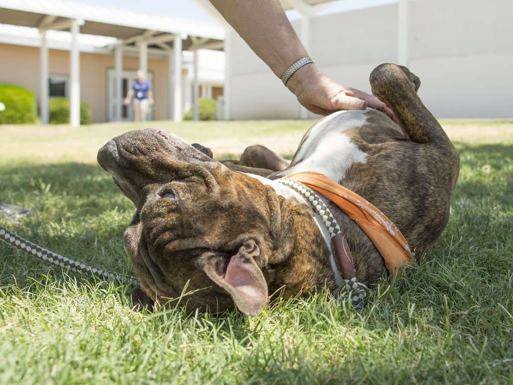 Arizona Humane Society Campus for Compassion | 1521 W Dobbins Rd, Phoenix, AZ 85041, USA | Phone: (602) 997-7585