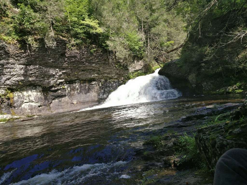 Hackers Falls | 105 Fisher Ln, Milford, PA 18337, USA