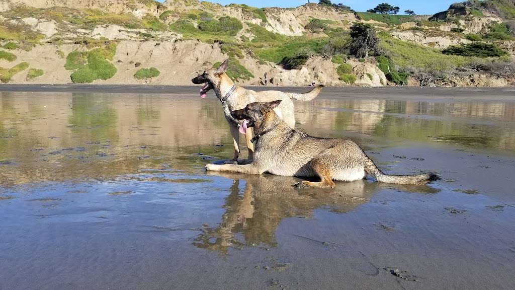 Fort Funston | Fort Funston Rd, San Francisco, CA 94132 | Phone: (415) 561-4700