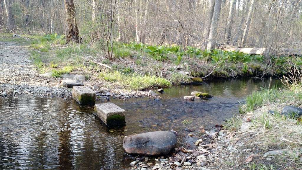 Dow Brook Conservation Area | 326 High St, Ipswich, MA 01938, USA | Phone: (978) 356-6607 ext. 3