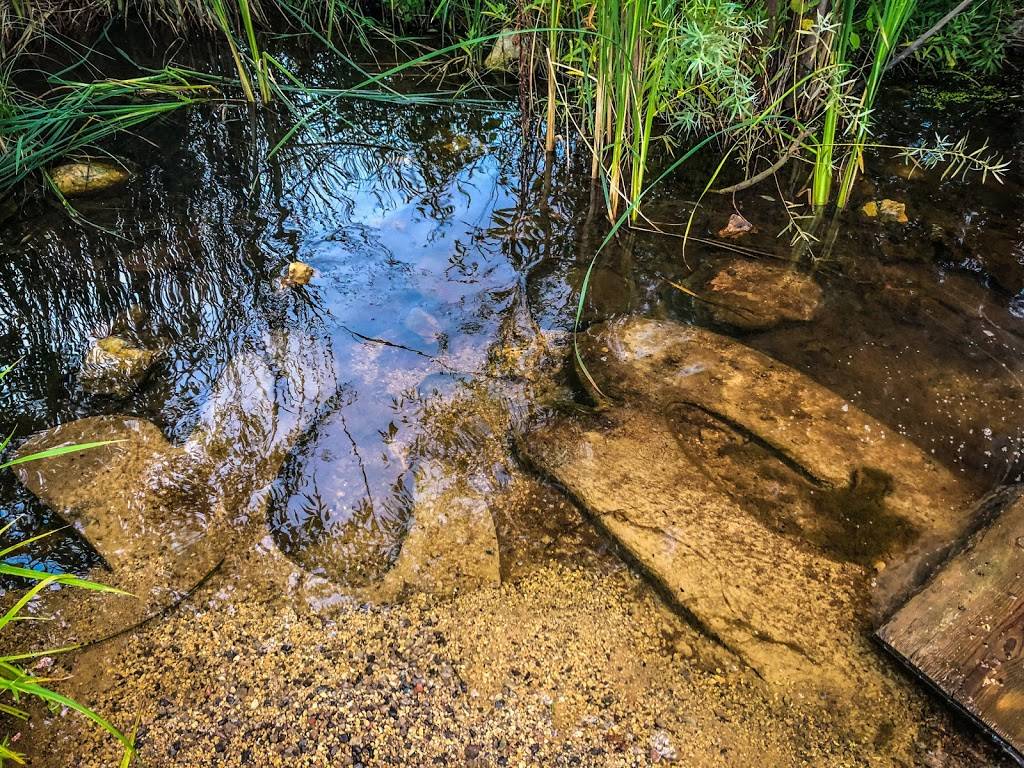 Trout Brook Nature Sanctuary | 1200 Jackson St, St Paul, MN 55117, USA | Phone: (651) 266-6368