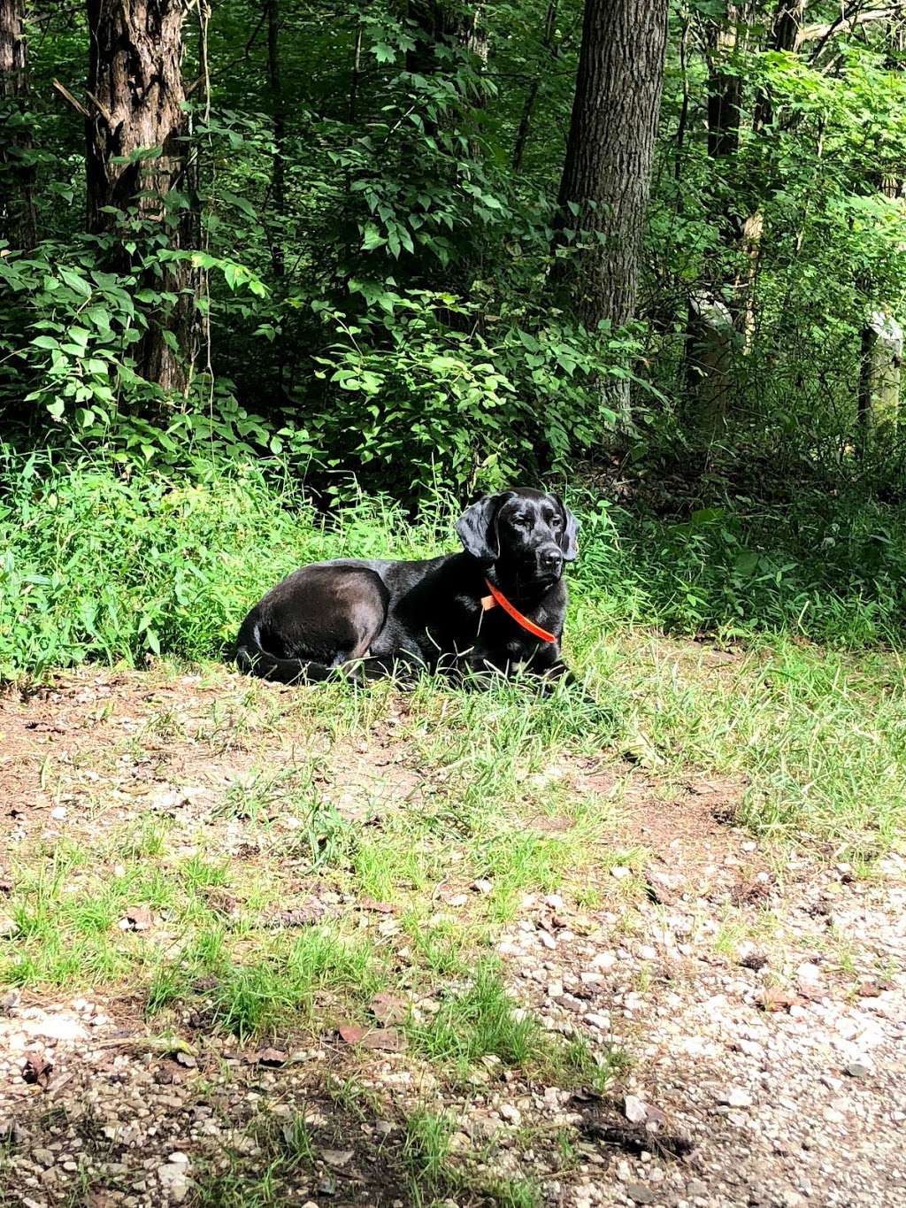 Maines Pond, Hoosier National Forest | Freetown, IN 47235, USA | Phone: (812) 275-5987