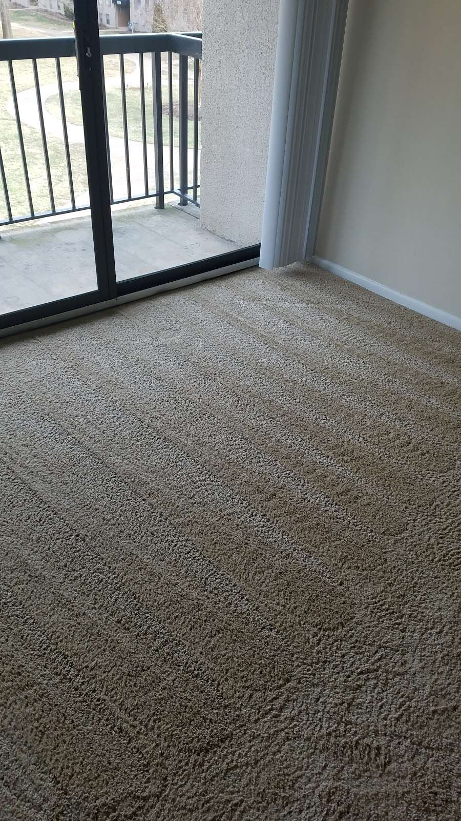 Dshane Professional Carpet Care LLC | 311 Central Rd suite b, Fredericksburg, VA 22405, USA | Phone: (540) 373-7405