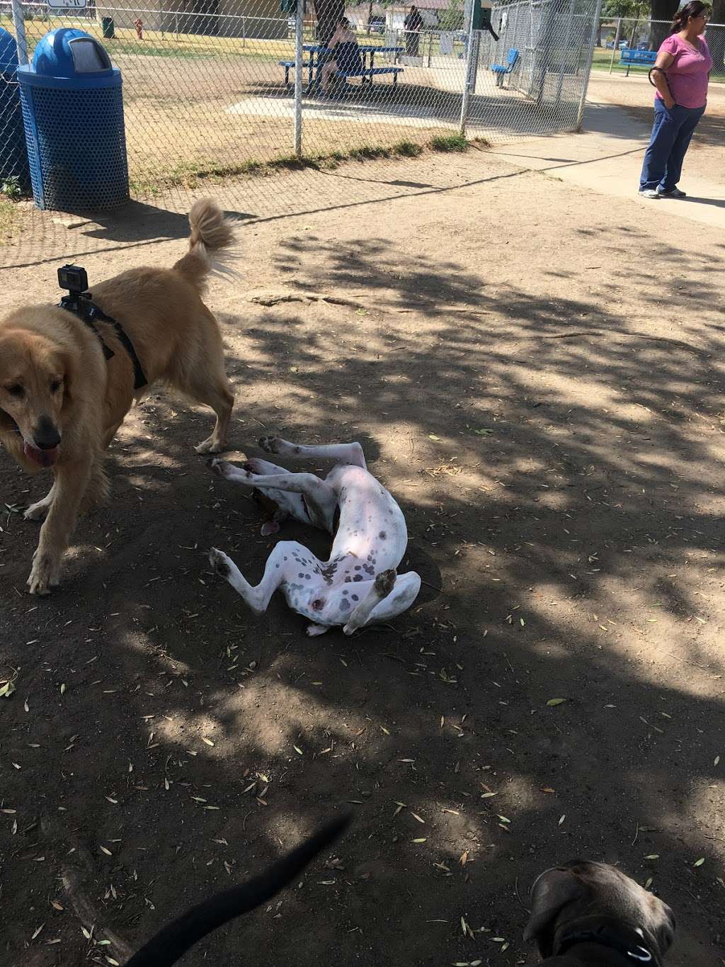 Central Bark Dog Park | 1500 W Rowland Ave, West Covina, CA 91791