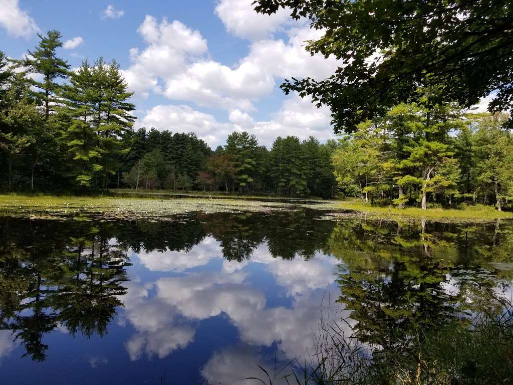 Fosters Pond Natural Area | 105 Londonderry Rd, Windham, NH 03087, USA | Phone: (603) 432-3806