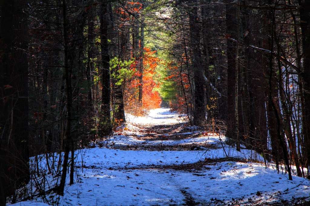 Arched Bridge Conservation Area | High St, Dunstable, MA 01827, USA