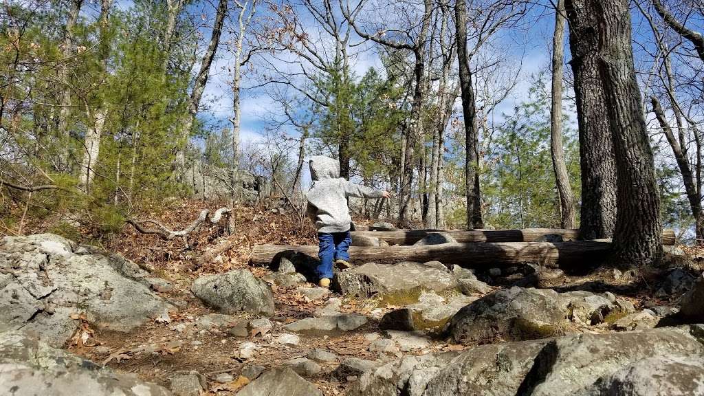 Tippling Rock | Sudbury, MA 01776, USA