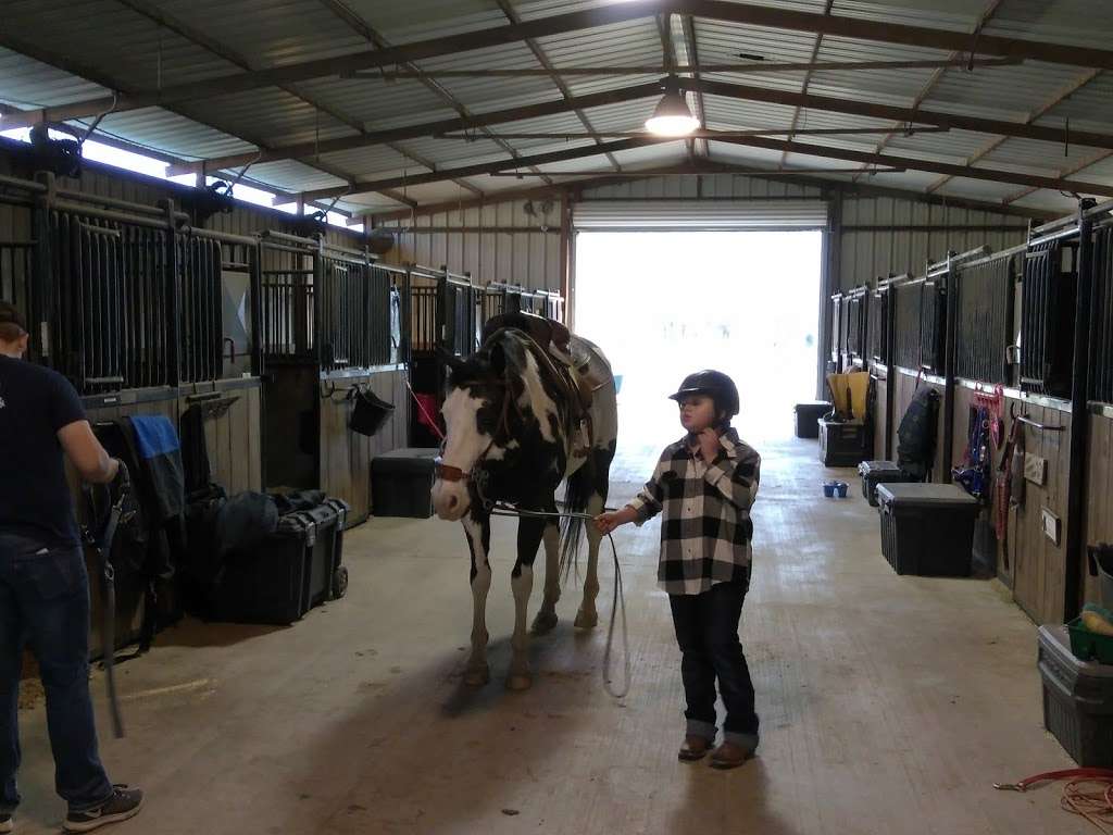 Lone Star Riding School | 20993-21105 FM 362, Waller, TX 77484, USA | Phone: (281) 684-0275