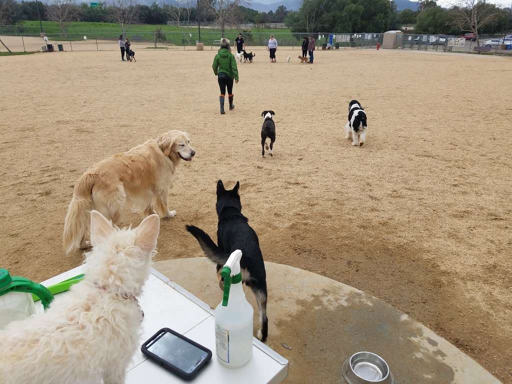 Conejo Creek Dog Park | 1350 E Avenida De Las Flores, Thousand Oaks, CA 91360, USA | Phone: (805) 495-6471