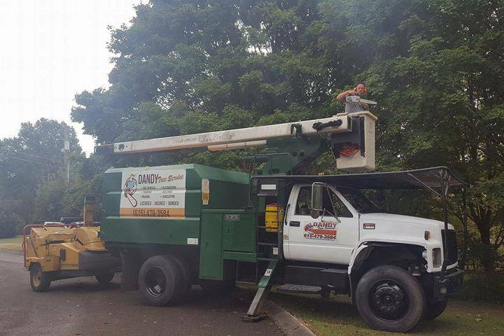 Dandy Tree Service | 3376 Ivey Point Rd, Goodlettsville, TN 37072, USA | Phone: (615) 479-3584