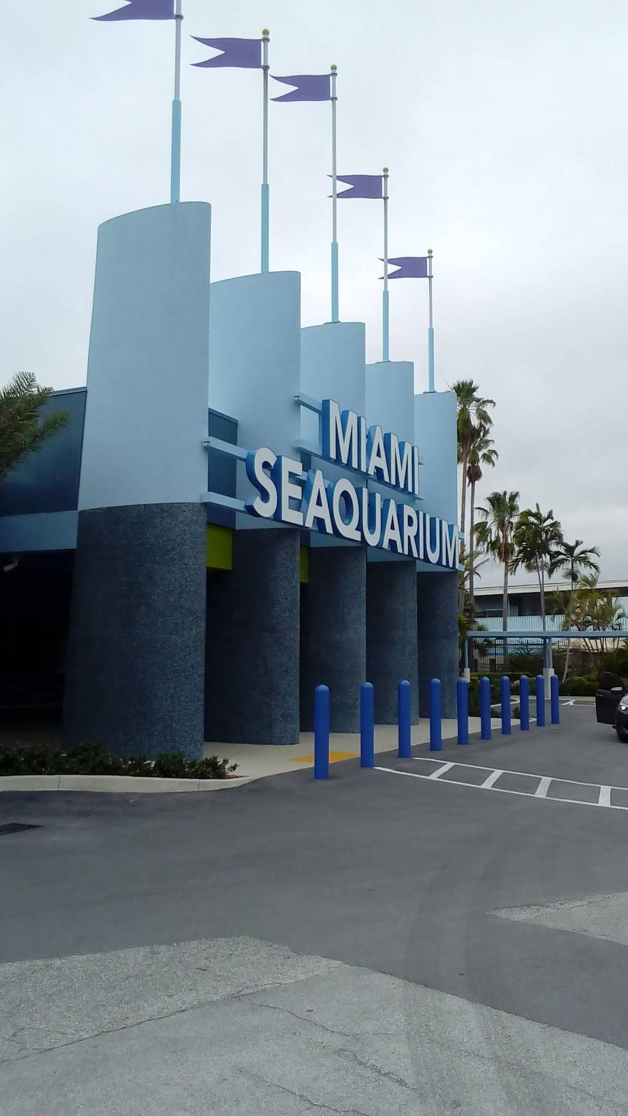 Miami Seaquarium Pink’s Hot Dog | 4400 Rickenbacker Causeway, Key Biscayne, FL 33149, USA | Phone: (305) 361-5705