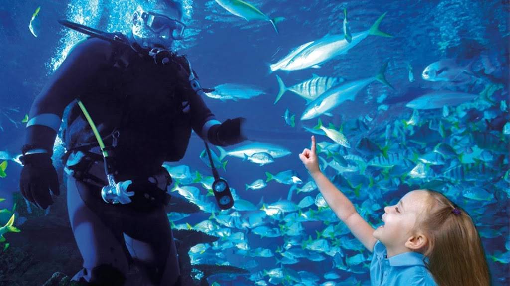 Aquarium Restaurant | 700 Water St, Denver, CO 80211, USA | Phone: (303) 561-4450