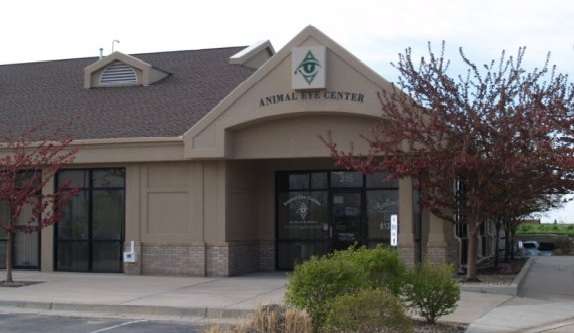 Animal Eye Center, PC | 215 W 67th Ct, Loveland, CO 80538, USA | Phone: (970) 461-0909