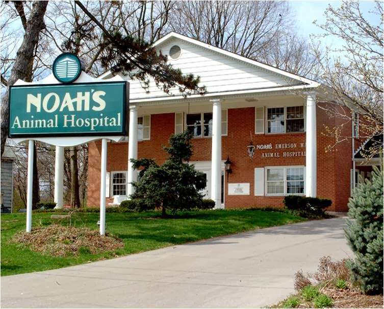 Noahs Animal Hospital & 24 HR Emergency Center | 5510 Millersville Rd, Indianapolis, IN 46226, USA | Phone: (317) 253-1327