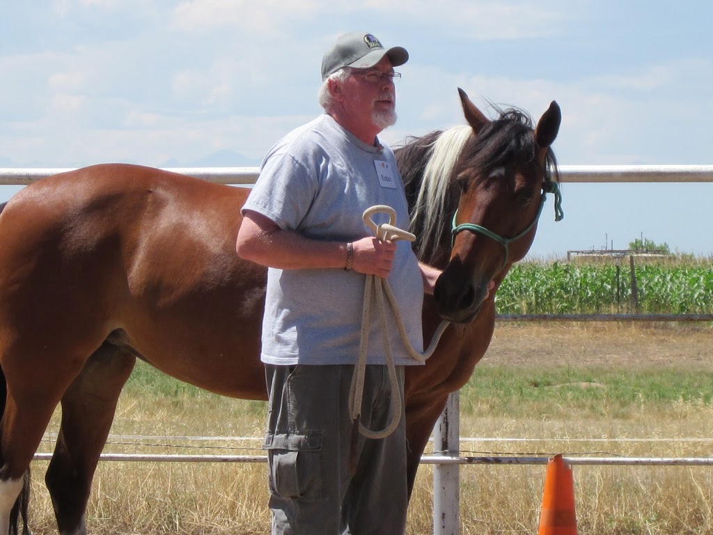 On the Wings of a Horse | 15575 Co Rd 25, Platteville, CO 80651, USA | Phone: (970) 785-9090