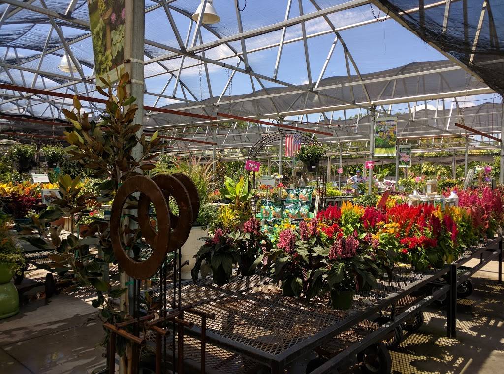 Calloways Nursery | 1424 N Center St, Arlington, TX 76011, USA | Phone: (817) 861-1195