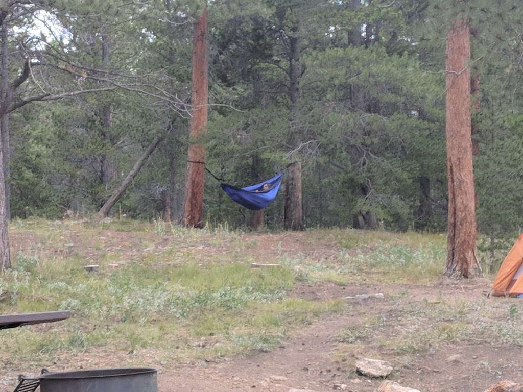 Meeker Park Overflow Campground | Forest Rd 121, Allenspark, CO 80510, USA