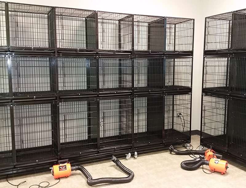 Barkingdales Pet Salon | 2905 Canoe Creek Rd, St Cloud, FL 34772, USA | Phone: (407) 593-6958 Barkingdales Pet Salon | 2905 Canoe Creek Rd, St Cloud, FL 34772, USA | Phone: (407) 593-6958