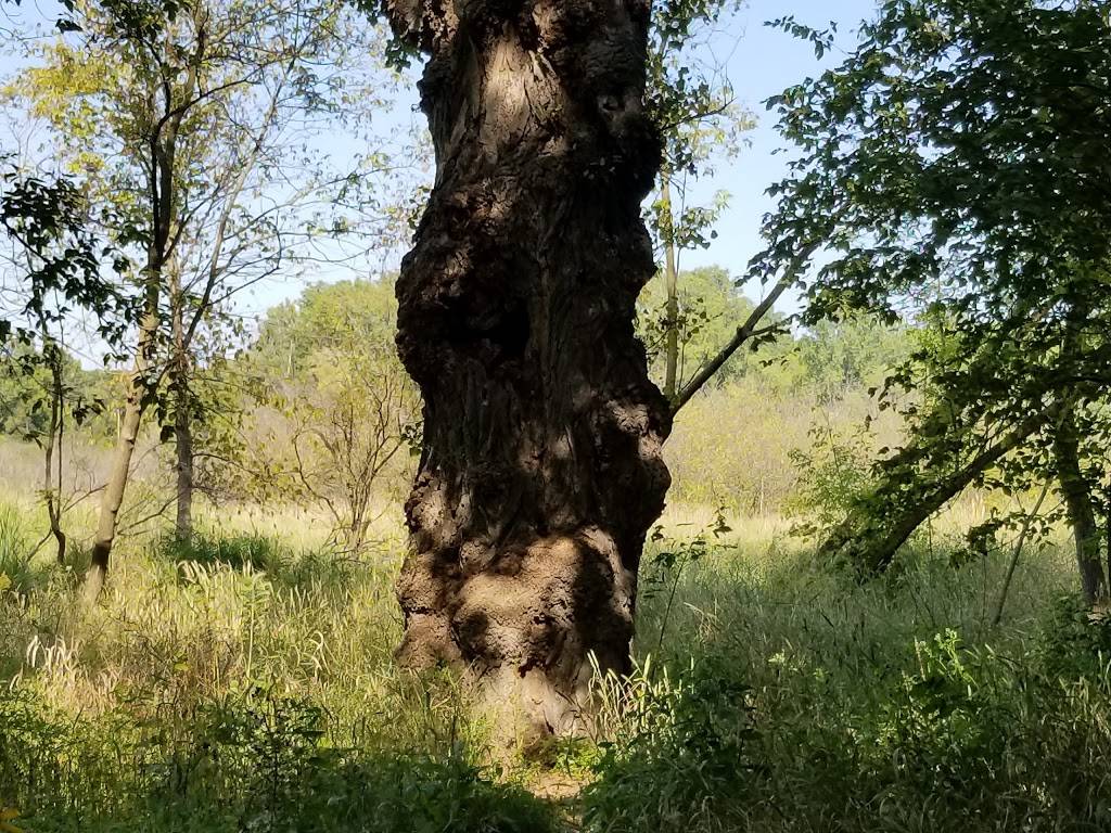 Harriet Alexander Nature Center | 2520 Dale St N, Roseville, MN 55113 | Phone: (651) 765-4262