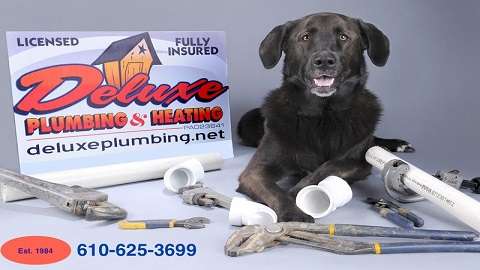 Deluxe Plumbing & Heating | 1422 Nectarine Rd, Danielsville, PA 18030 | Phone: (610) 625-3699