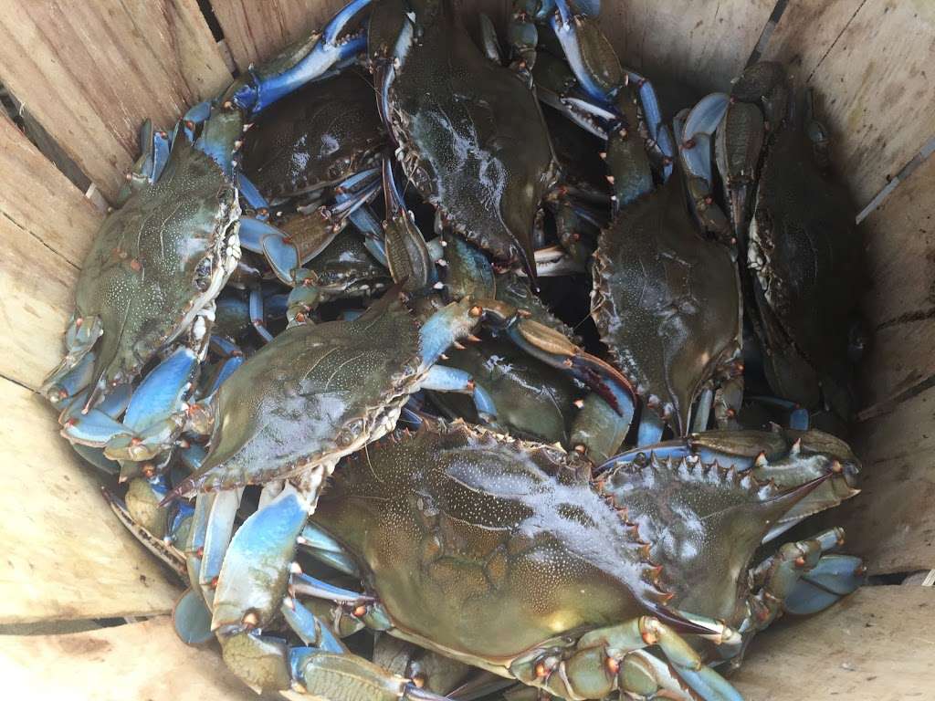 Maryland Crab Boys, LLC | 7158 Brooks Rd, Highland, MD 20777 | Phone: (301) 974-7174