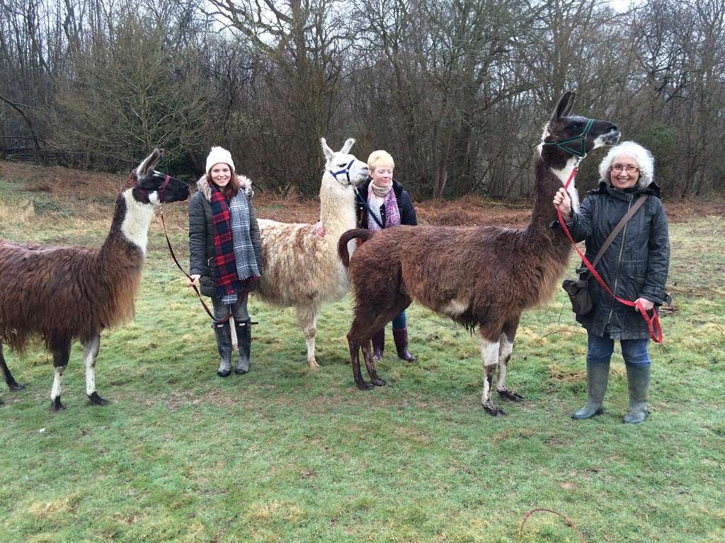 Blue Caps Farm | Sleepers Stile Rd, Wadhurst TN5 6QX, UK | Phone: 01892 785119