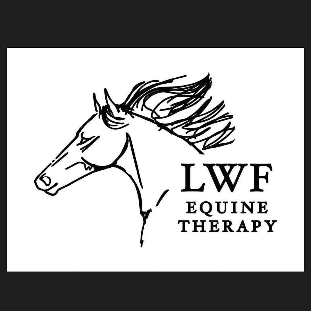 LWF Equine Therapy | 2925 Gulf Freeway South, Ste B, #377, League City, TX 77573, USA | Phone: (281) 381-6042