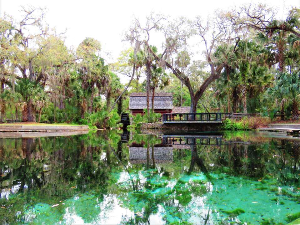 Juniper Springs Recreation Area | Florida, USA