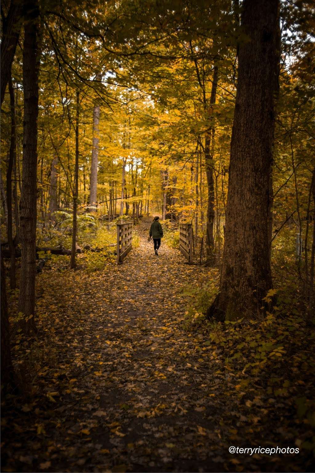 Harris Forest Preserve | IL-71, Yorkville, IL 60560, USA