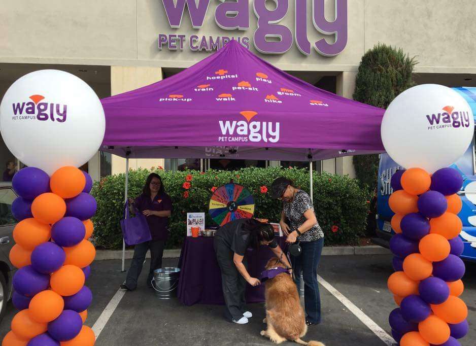 Wagly Pet Hospital and Campus | Irvine & Tustin | 13942 Newport Ave, Tustin, CA 92780 | Phone: (714) 970-4200