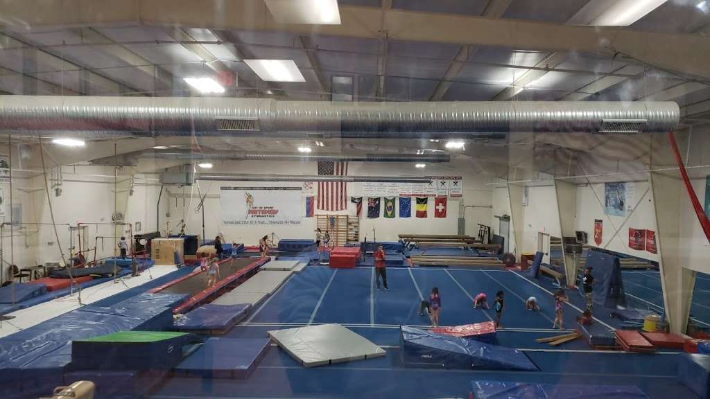 Artemov Gymnastics | 21750 Hardy Oak Blvd, San Antonio, TX 78258, USA | Phone: (210) 497-5000