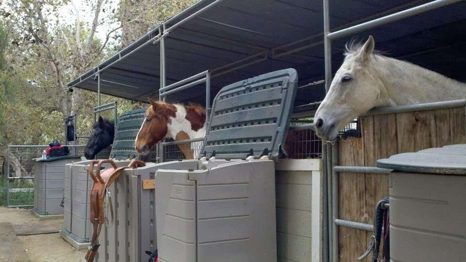 Los Angeles Equestrian Vaulting Club | 9889 Helen Ave, Shadow Hills, CA 91040 | Phone: (818) 618-5274