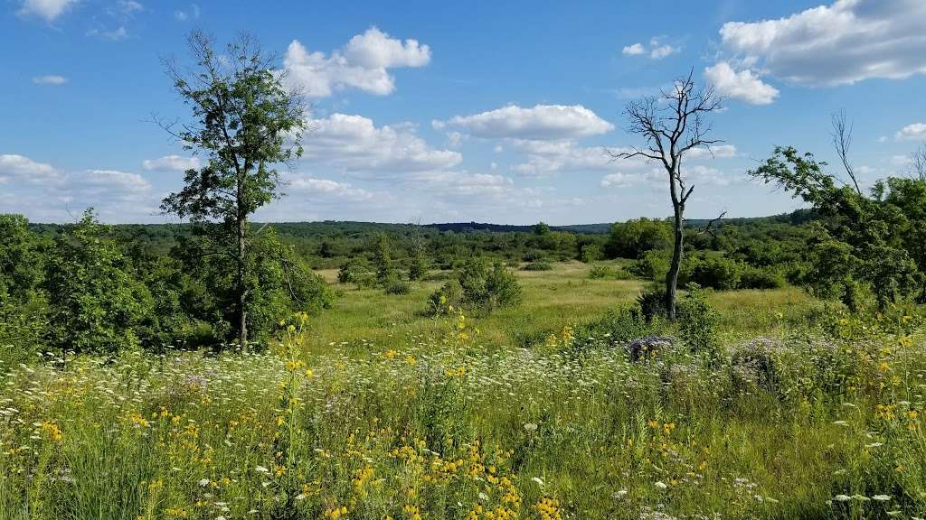 Boone Creek Conservation Area | 916 N Cold Springs Rd, Bull Valley, IL 60098, USA | Phone: (815) 338-6223