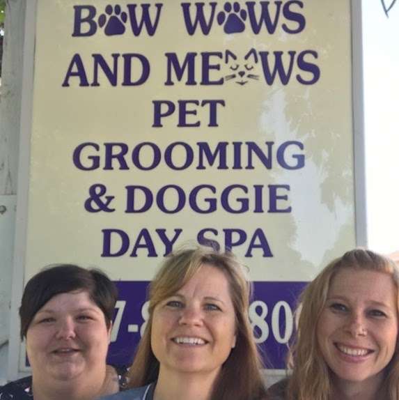 Bow Wows & Meows LLC | 537 Sheridan Rd, Winthrop Harbor, IL 60096, USA | Phone: (847) 872-0800