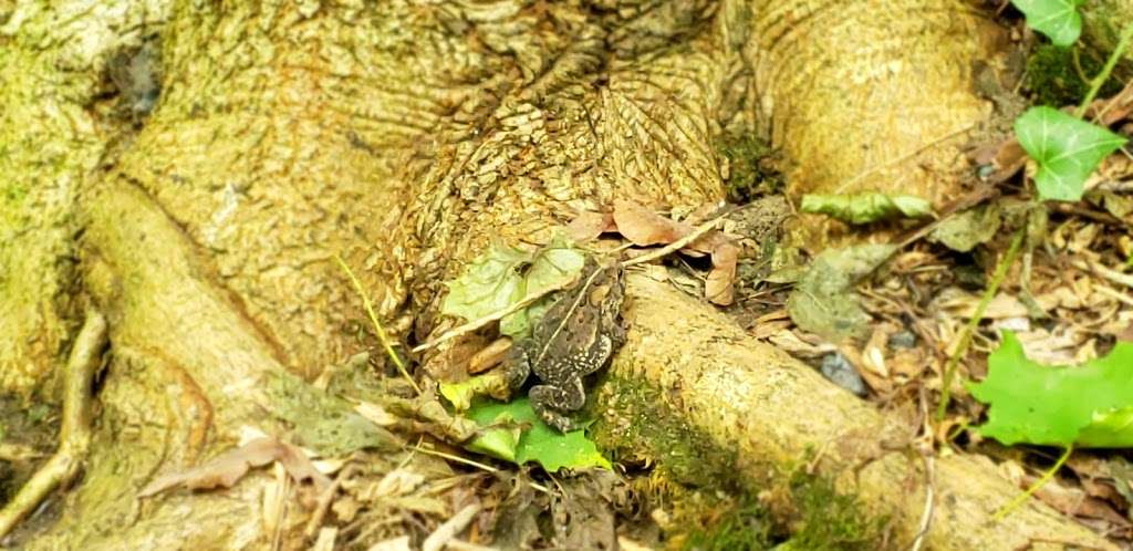 Forbidden Dr Lower Lot | Unnamed Road, Philadelphia, PA 19128, USA