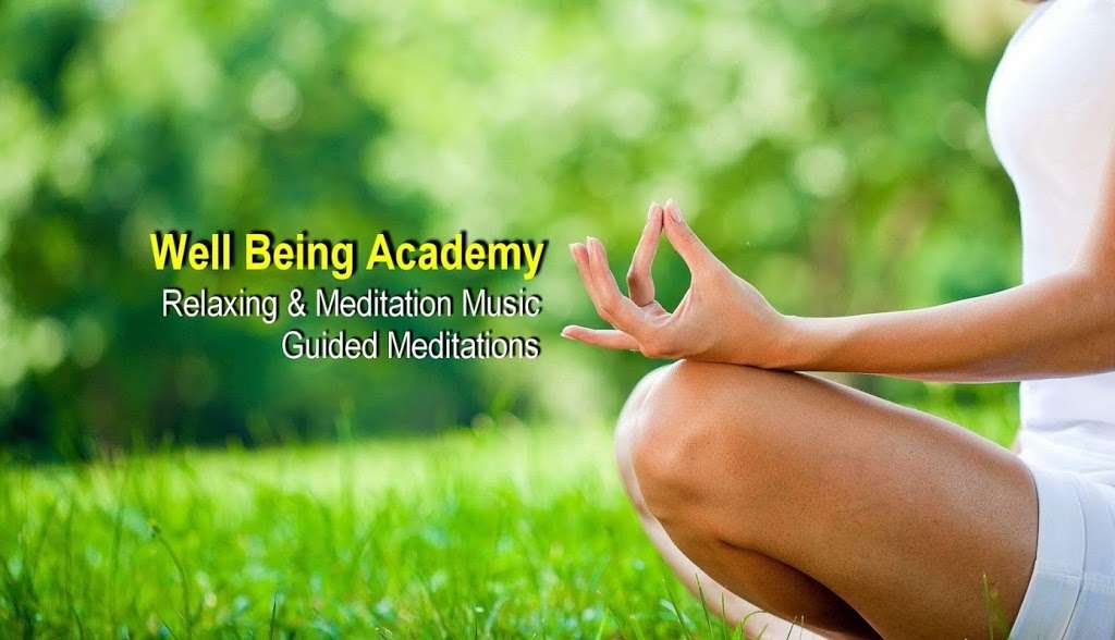 Well Being Academy | 8037 Kenyon Ave, Los Angeles, CA 90045, USA | Phone: (323) 516-9354