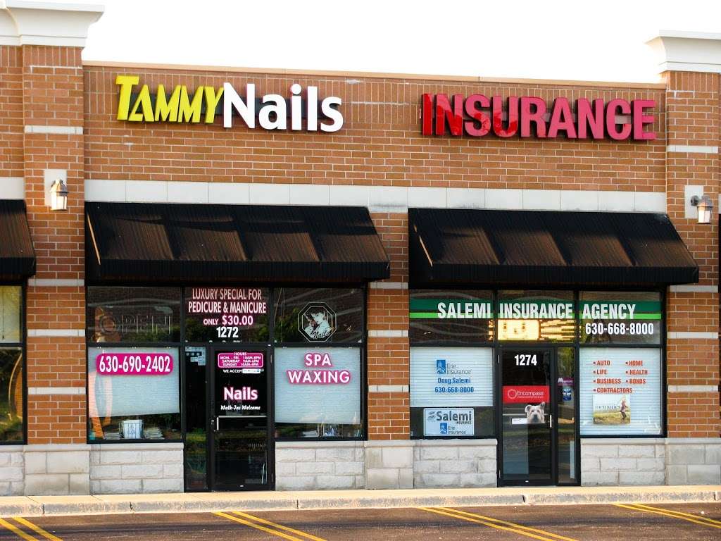 Salemi Insurance Agency | 1274 Kuhn Rd, Carol Stream, IL 60188, USA | Phone: (630) 668-8000