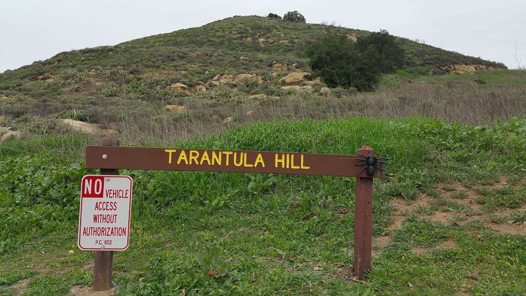 Tarantula Hill | 287 W Gainsborough Rd, Thousand Oaks, CA 91360, USA