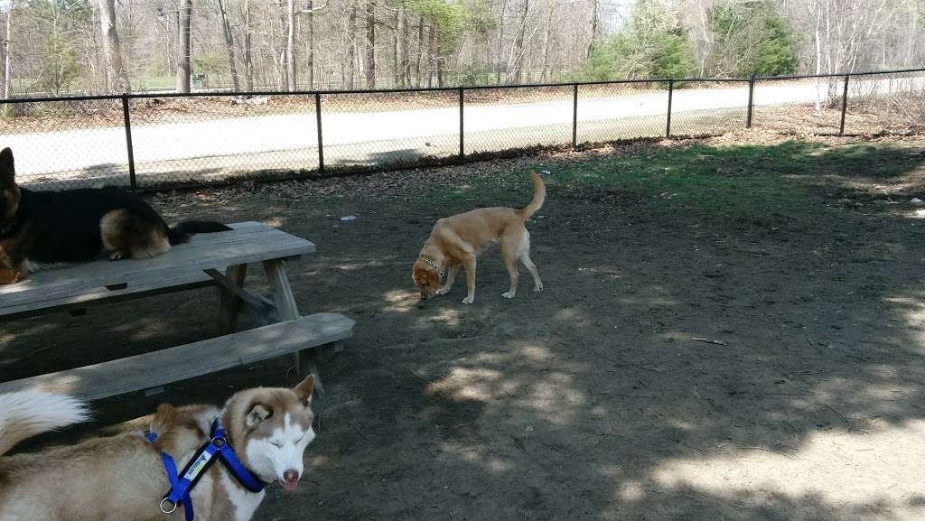 Dog Park at Union Point | 25 Memorial Grove Ave, Weymouth, MA 02190, USA | Phone: (617) 249-1105