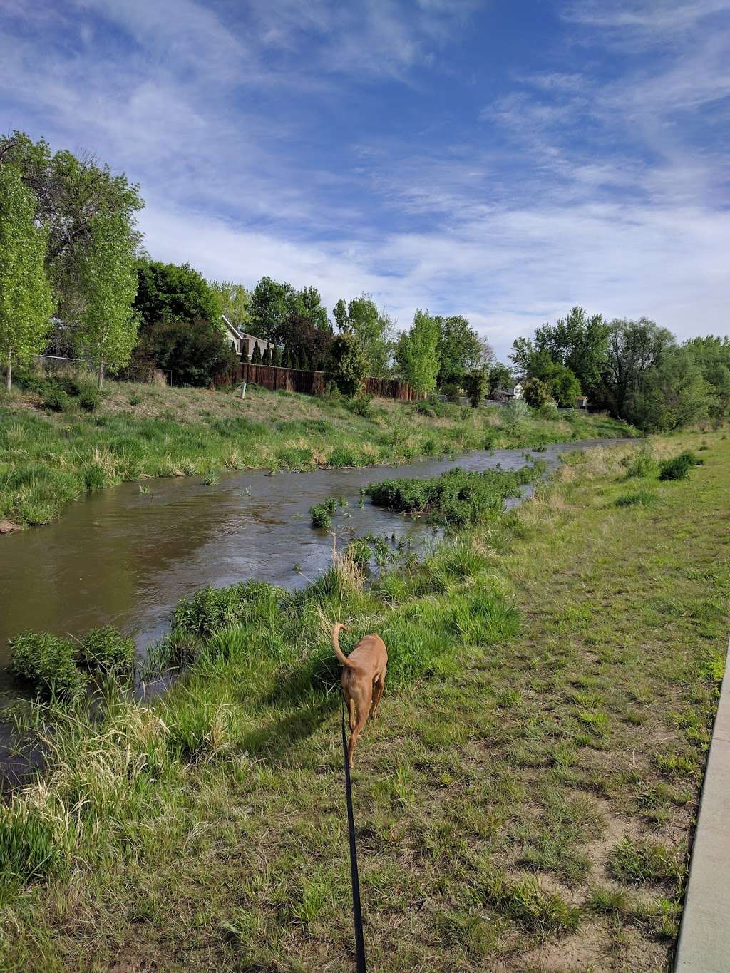 Left Hand Creek Park | 1800 Creekside Dr, Longmont, CO 80504, USA | Phone: (303) 651-8992