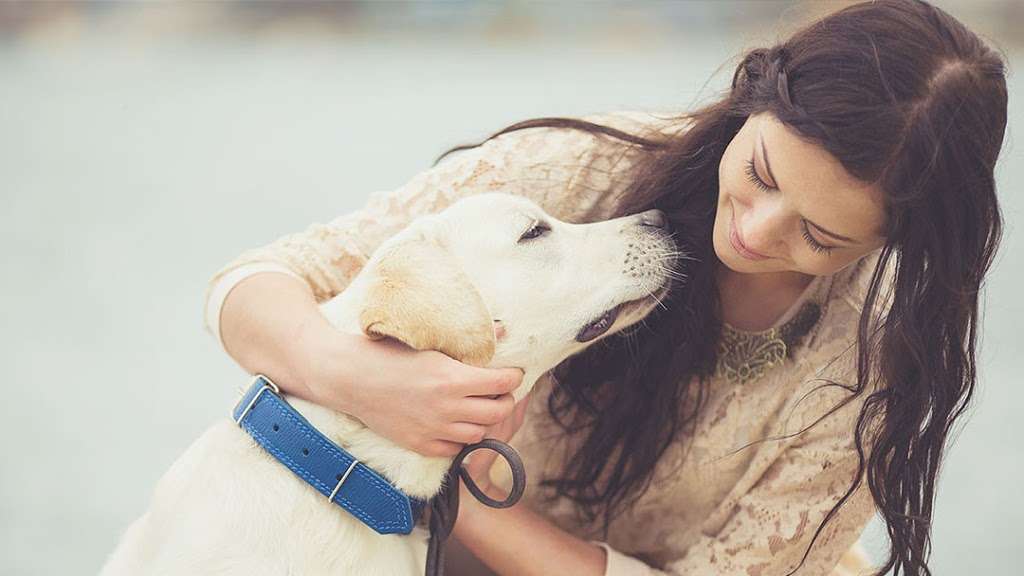 Valley Animal Hospital | 993 W Valley Blvd #120, Bloomington, CA 92316, USA | Phone: (909) 877-2384