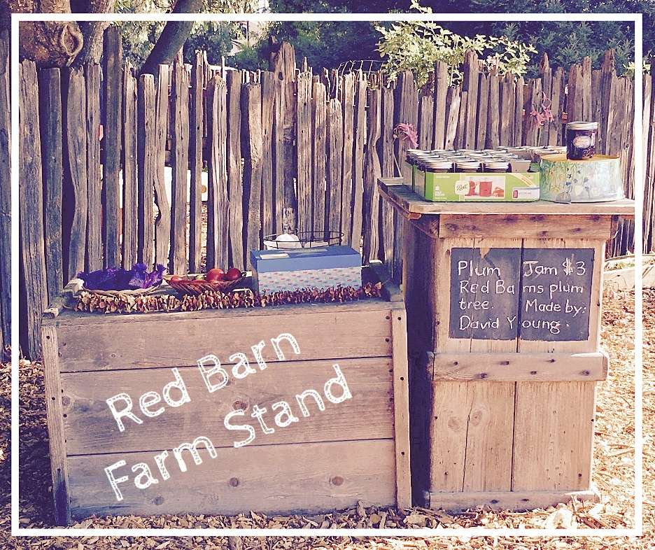 Red Barn Montessori | 3820 Bodega Ave, Bldg A, Petaluma, CA 94952, USA | Phone: (707) 789-9397