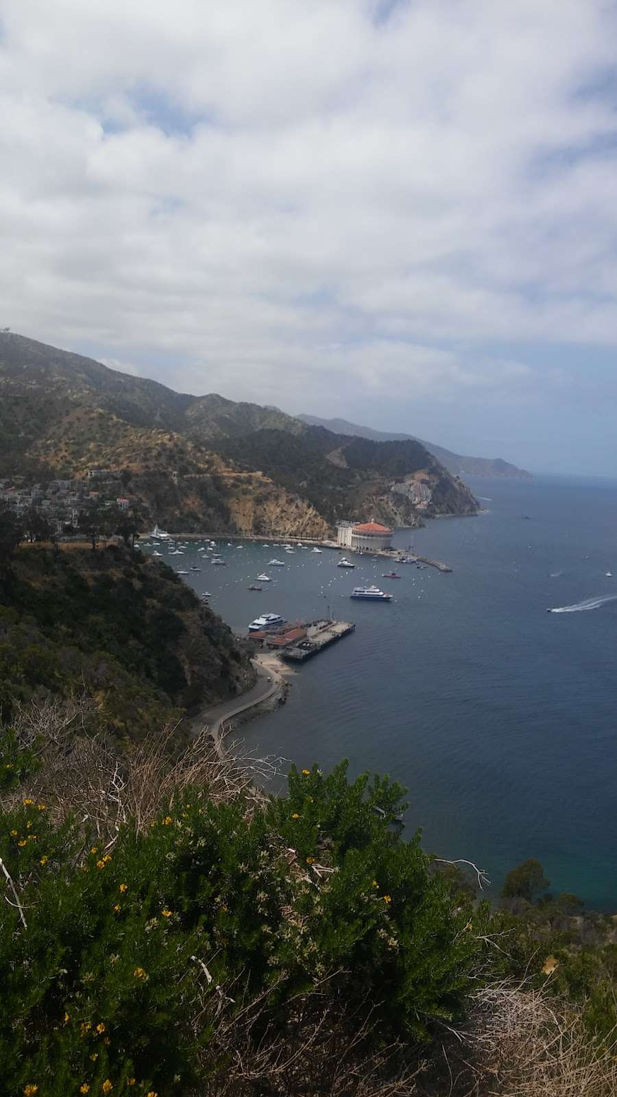 Santa Catalina Island Gas Station | Pebbly Beach Rd, Avalon, CA 90704, USA | Phone: (310) 510-2000