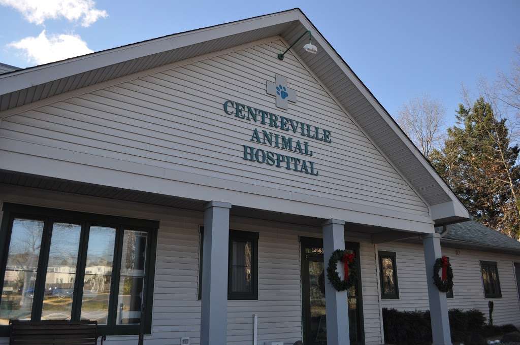 VCA Centreville Animal Hospital | 13663 Lee Hwy, Centreville, VA 20121 | Phone: (703) 830-1182