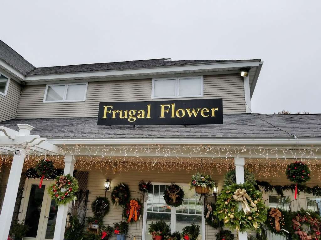 The Frugal Flower | 736 Boston Post Rd, Sudbury, MA 01776, USA | Phone: (800) 582-4390