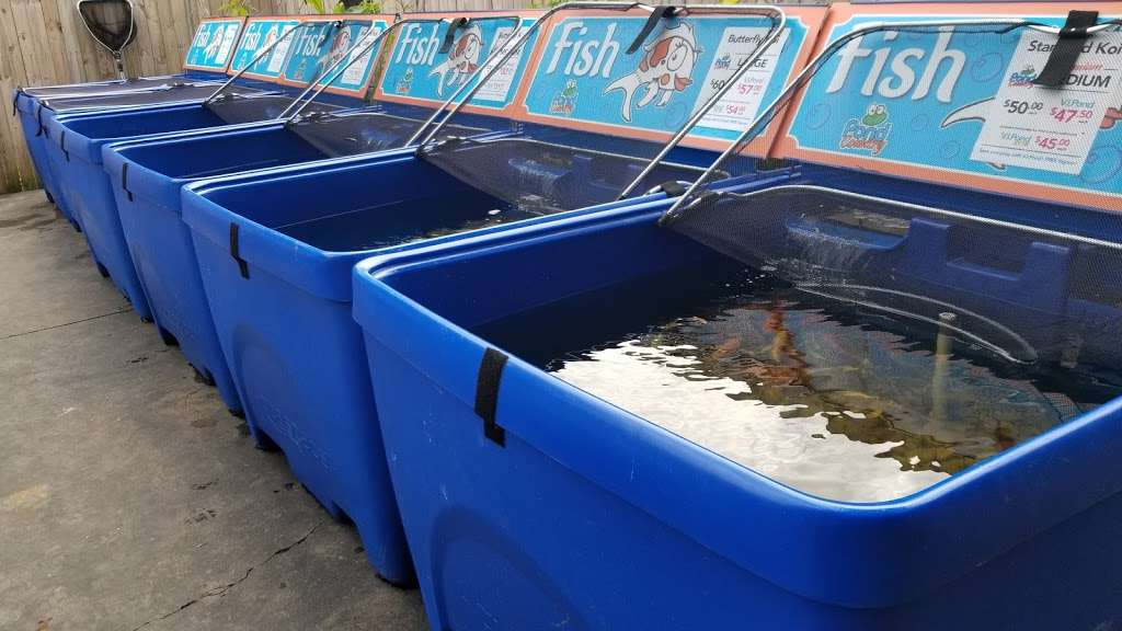 Pond Country | 182 E Plaza Dr, Mooresville, NC 28115, USA | Phone: (980) 247-2999