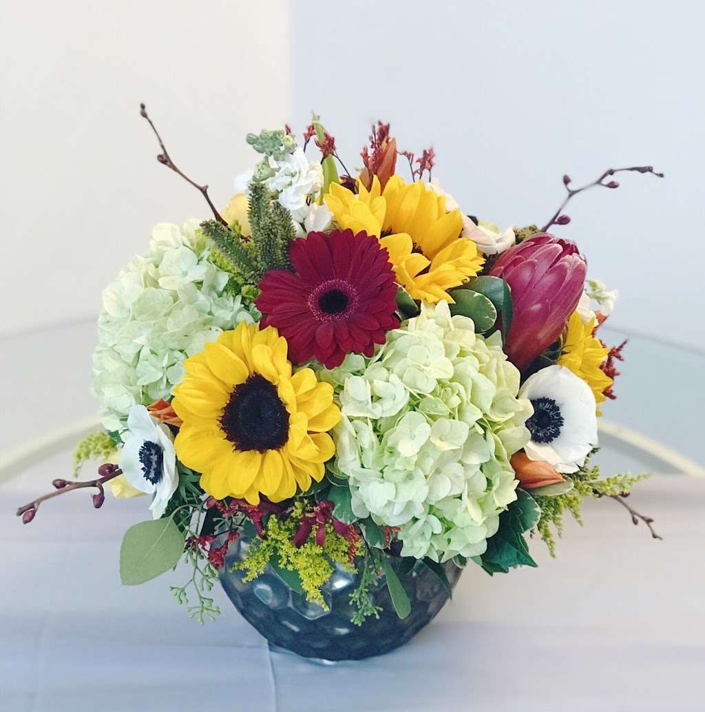 All Purpose Flowers | 29 Lexington Ave, Gloucester, MA 01930, USA | Phone: (978) 526-1241